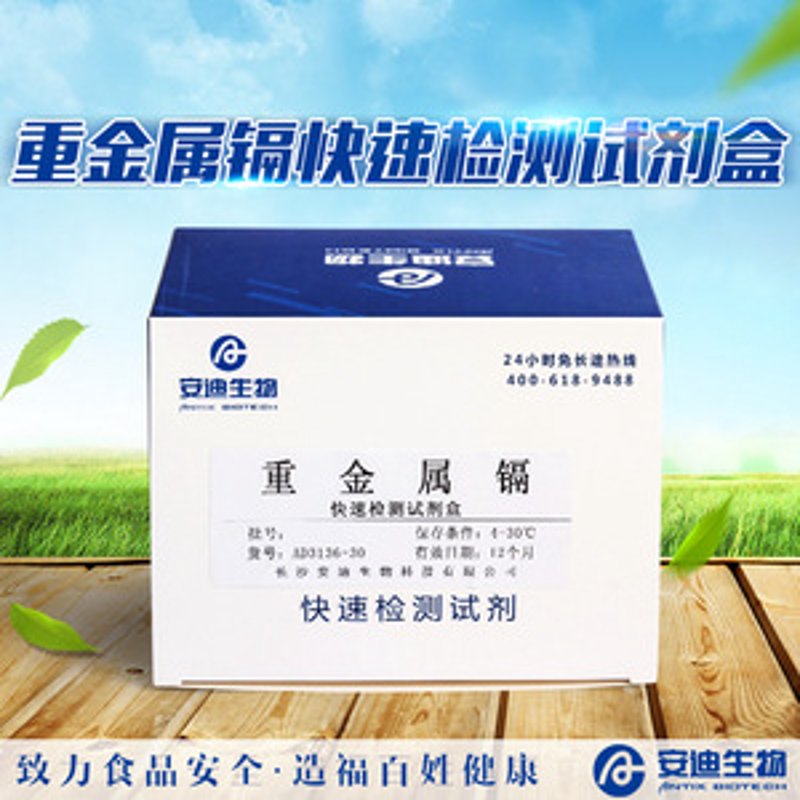 深圳软件开发：企业成长的催化剂